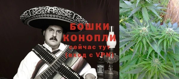 соль ск Осташков